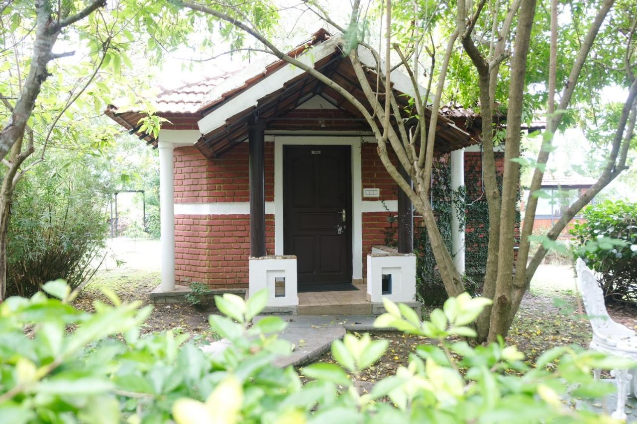 Chalets Resort Masinagudi 乌提 外观 照片