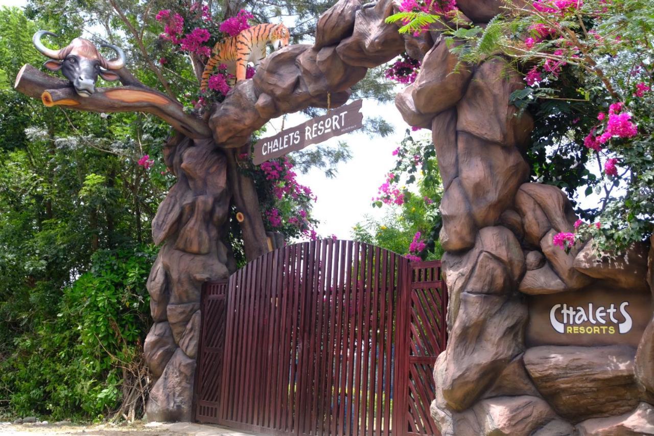 Chalets Resort Masinagudi 乌提 外观 照片