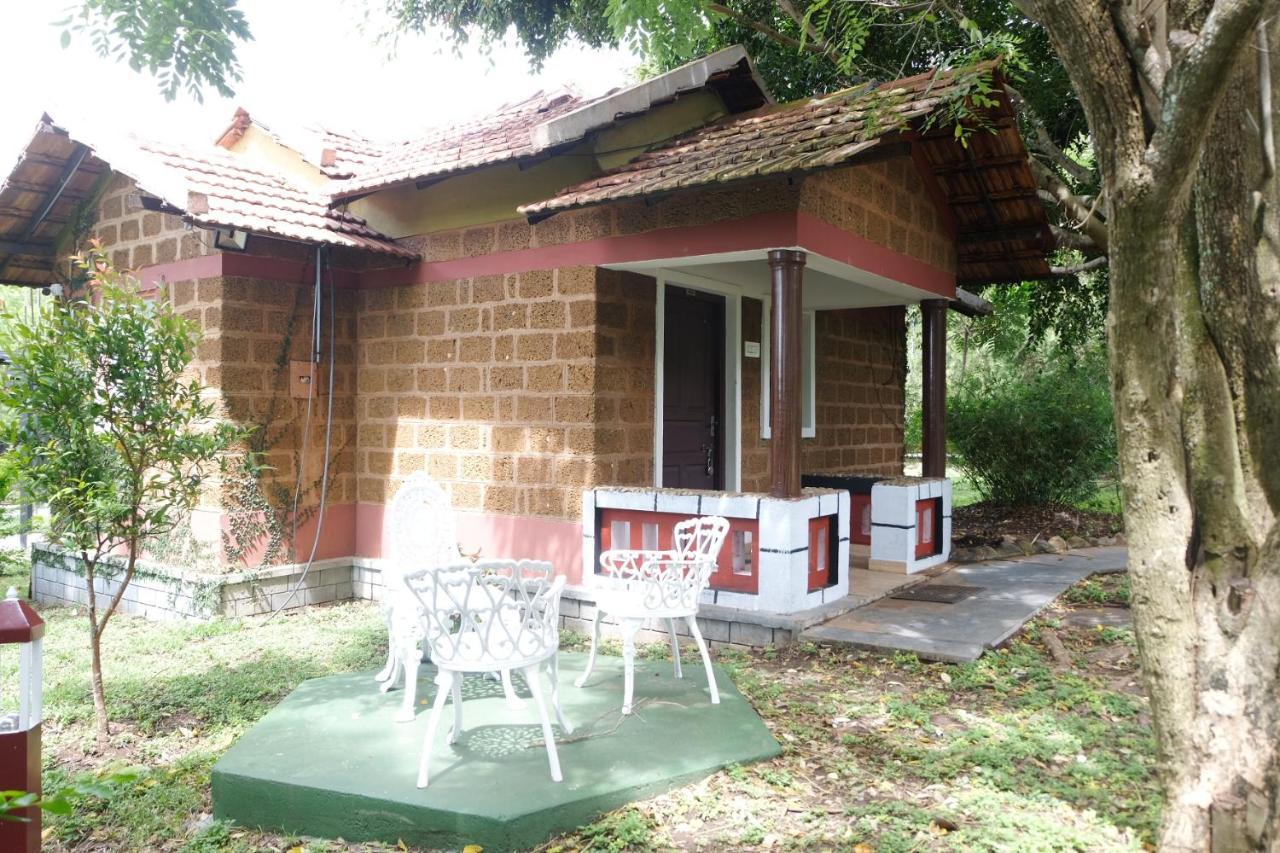 Chalets Resort Masinagudi 乌提 外观 照片