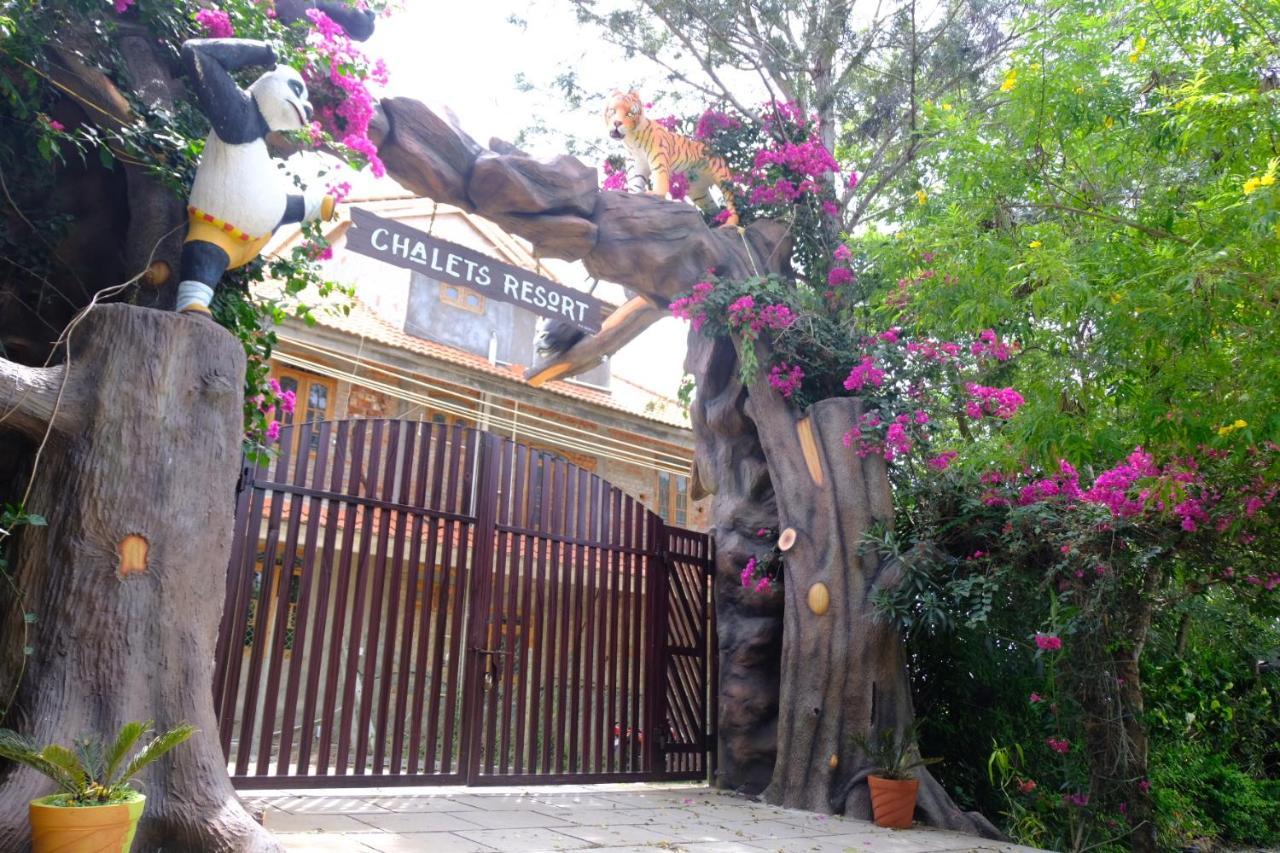 Chalets Resort Masinagudi 乌提 外观 照片