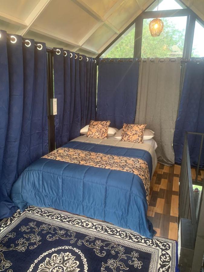 Chalets Resort Masinagudi 乌提 外观 照片