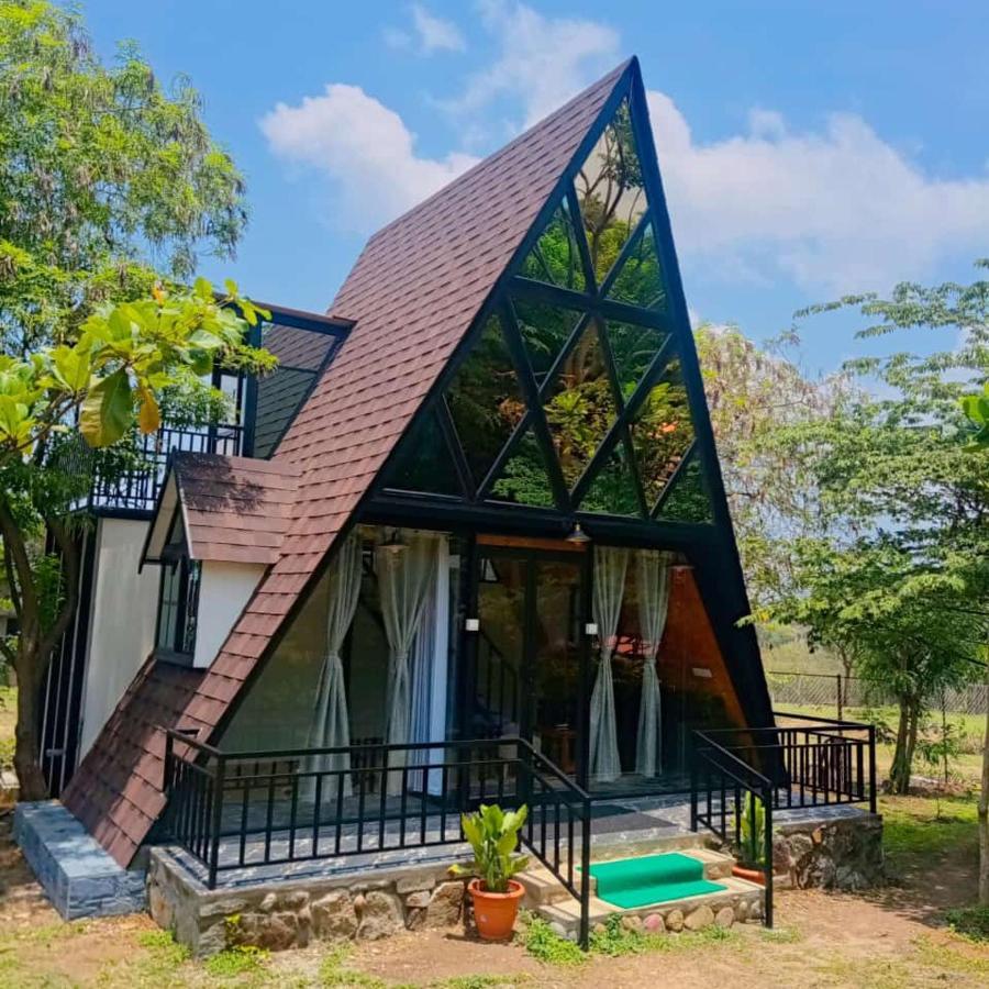 Chalets Resort Masinagudi 乌提 外观 照片