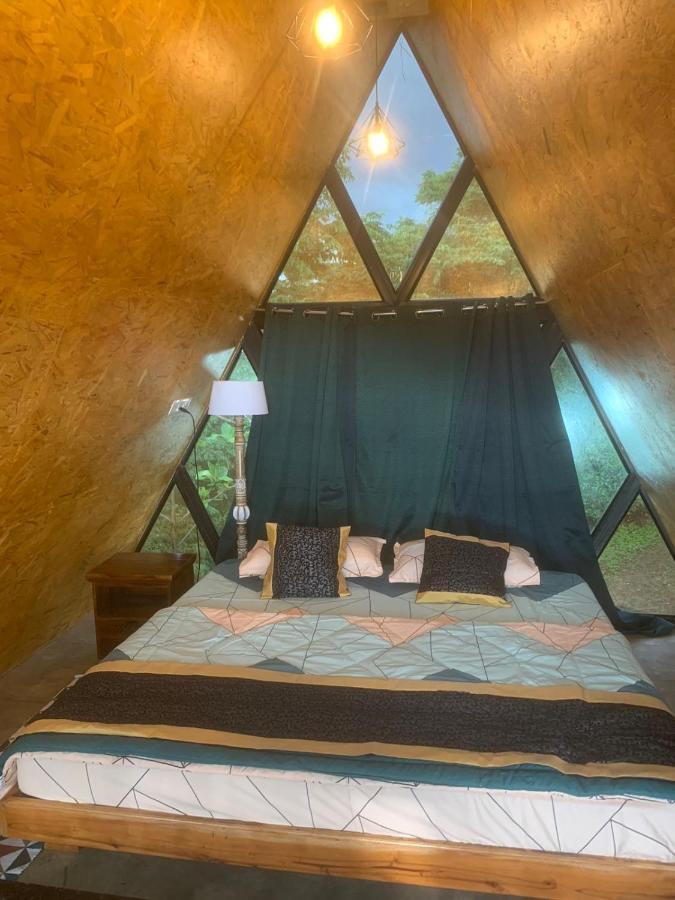 Chalets Resort Masinagudi 乌提 外观 照片