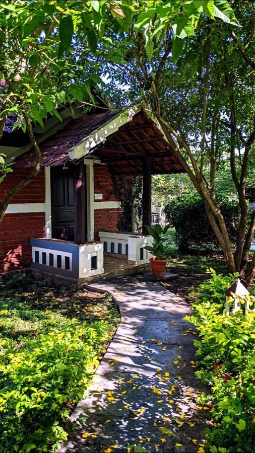 Chalets Resort Masinagudi 乌提 外观 照片