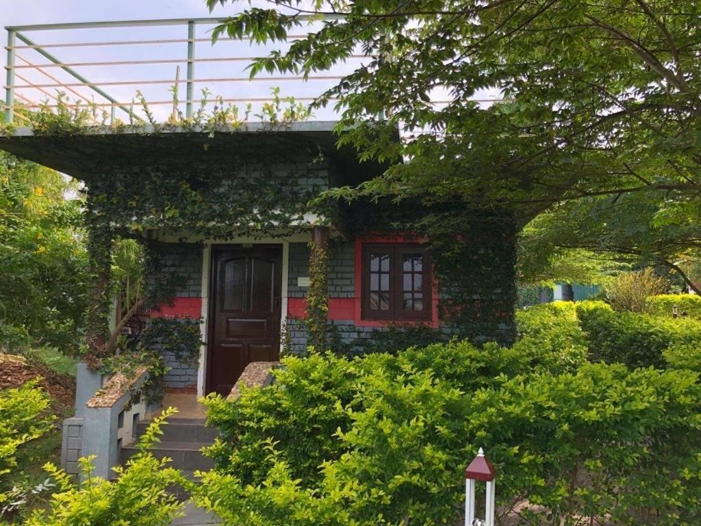 Chalets Resort Masinagudi 乌提 外观 照片