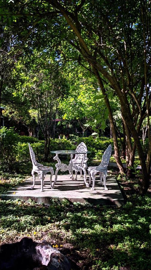Chalets Resort Masinagudi 乌提 外观 照片