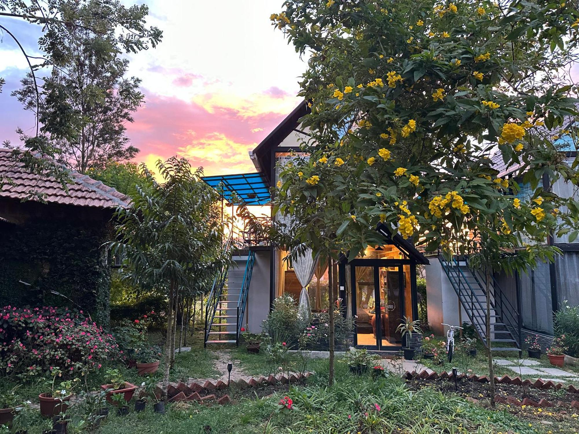 Chalets Resort Masinagudi 乌提 外观 照片
