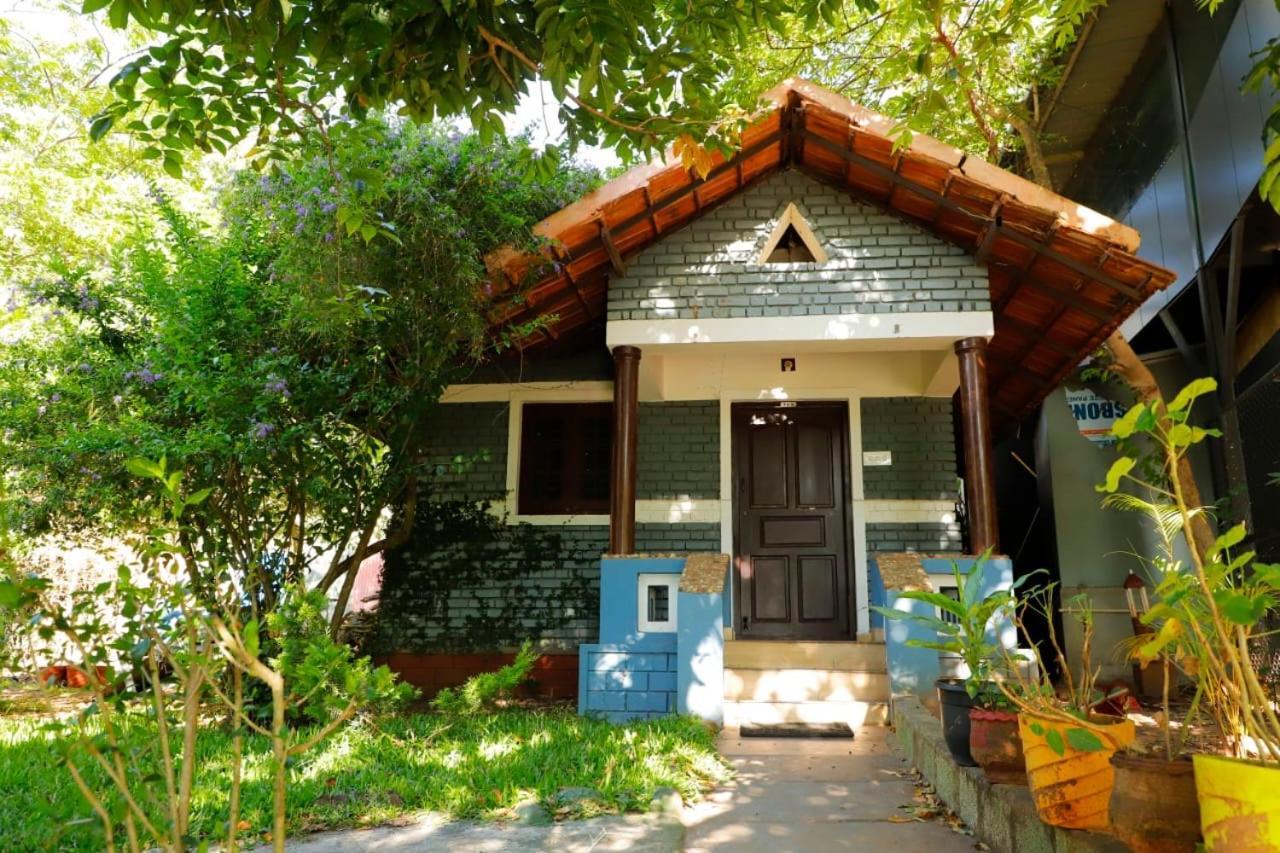 Chalets Resort Masinagudi 乌提 外观 照片