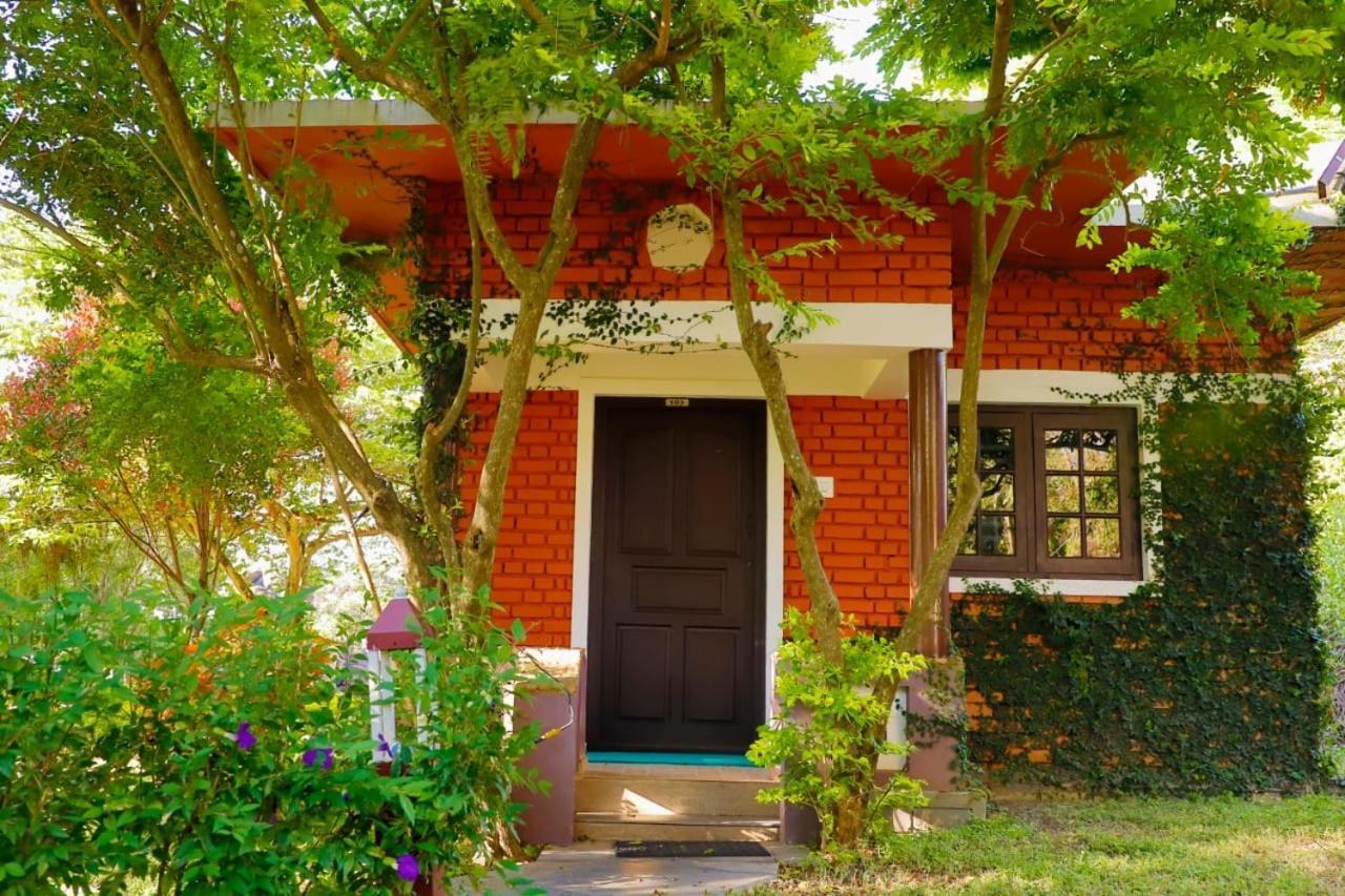 Chalets Resort Masinagudi 乌提 外观 照片