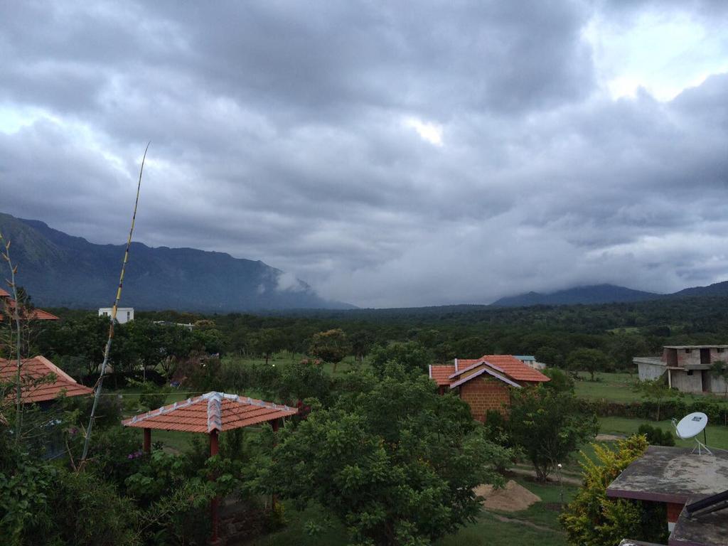 Chalets Resort Masinagudi 乌提 外观 照片