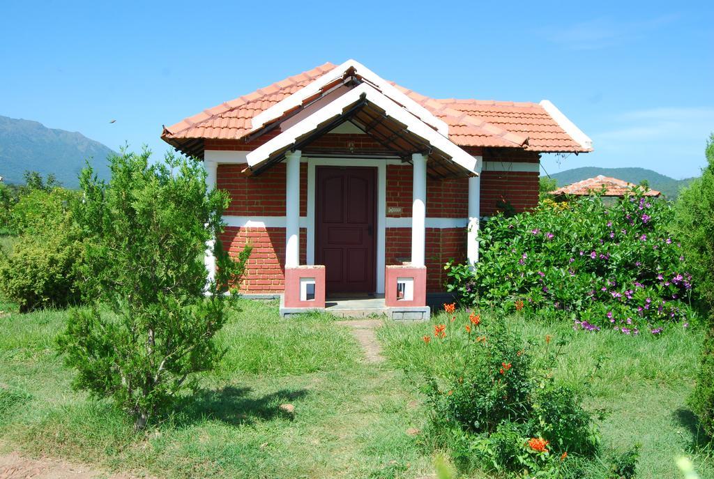 Chalets Resort Masinagudi 乌提 外观 照片