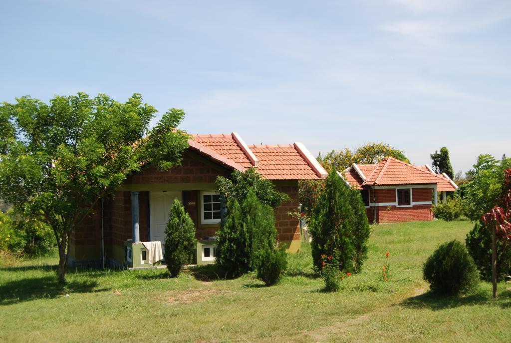 Chalets Resort Masinagudi 乌提 外观 照片
