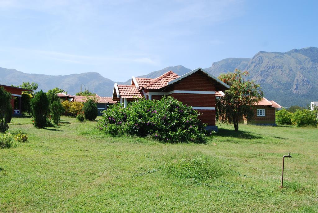 Chalets Resort Masinagudi 乌提 外观 照片