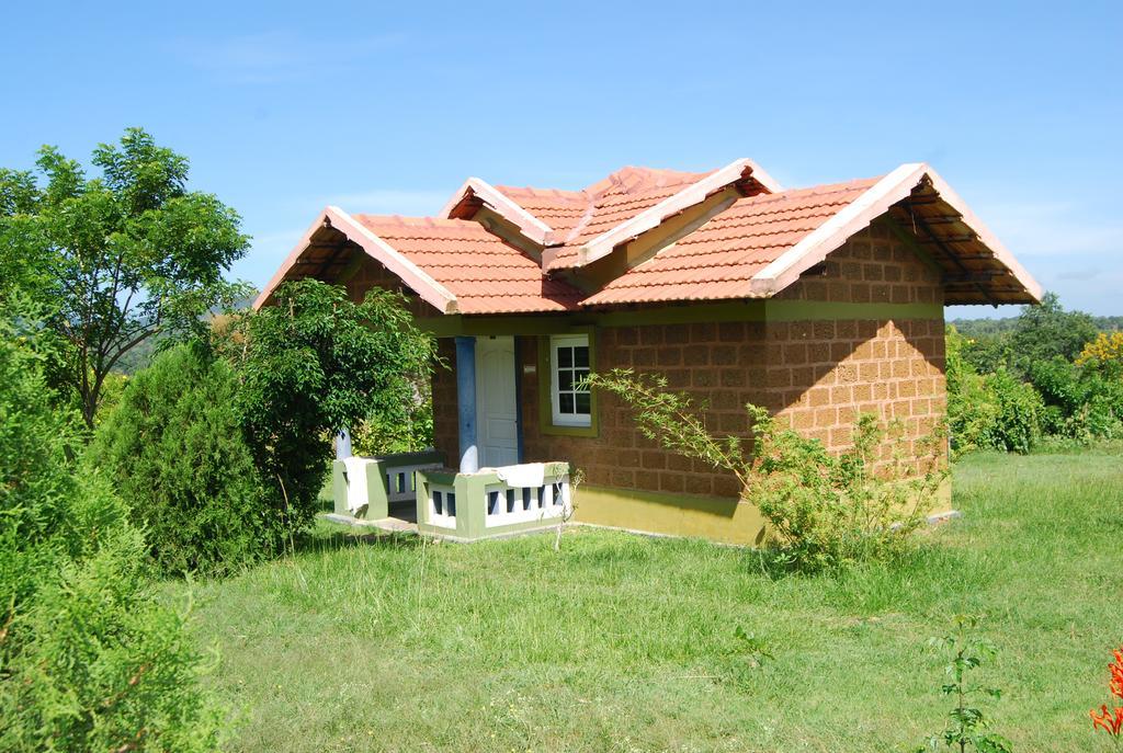 Chalets Resort Masinagudi 乌提 外观 照片