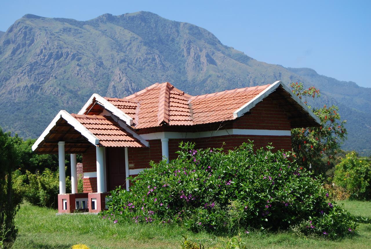 Chalets Resort Masinagudi 乌提 外观 照片